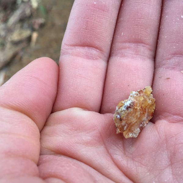 Pala pihkaa kämmenellä