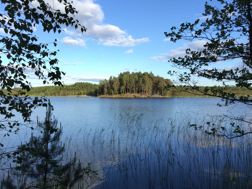 Teijon kansallispuisto, Teerisaari