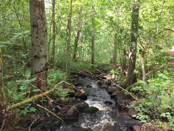 Teijon kansallispuisto, Sahajärven luontopolku