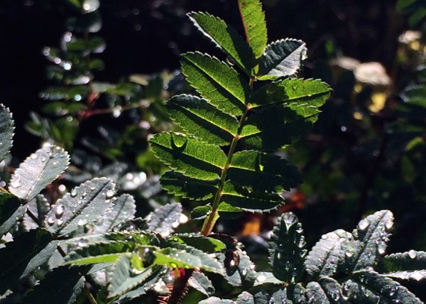 Kuva: Maria Korpi-Anttila