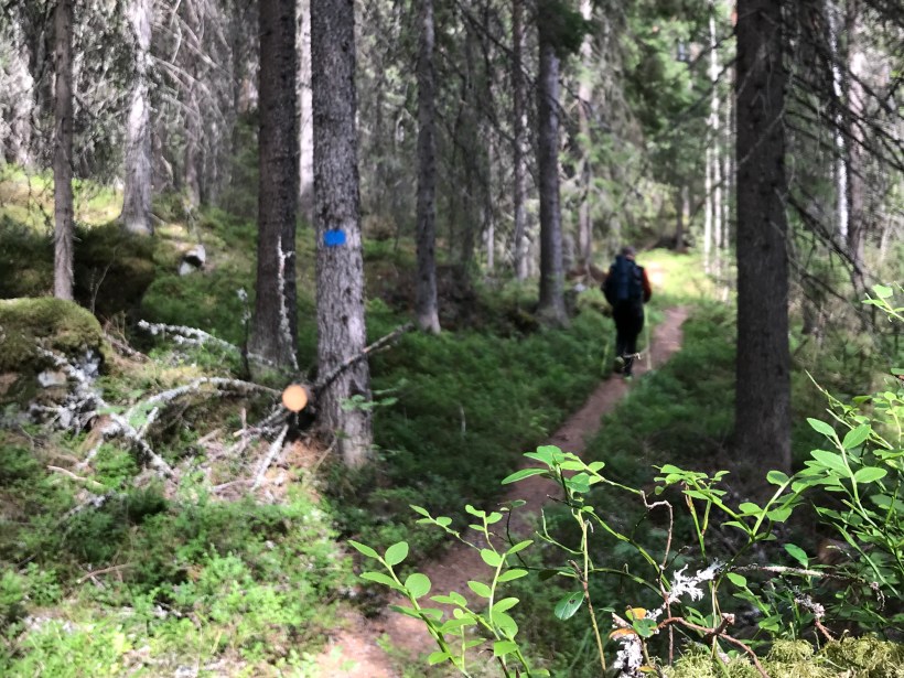 Isojärven reitti. Kuva: Kaisa Vermasheinä, Juuret maassa