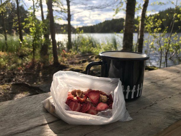Kuorejärvi. Kuva: Kaisa Vermasheinä, Juuret maassa