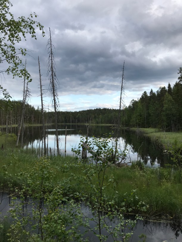 Hevosjärvi. Kuva: Kaisa Vermasheinä, Juuret maassa