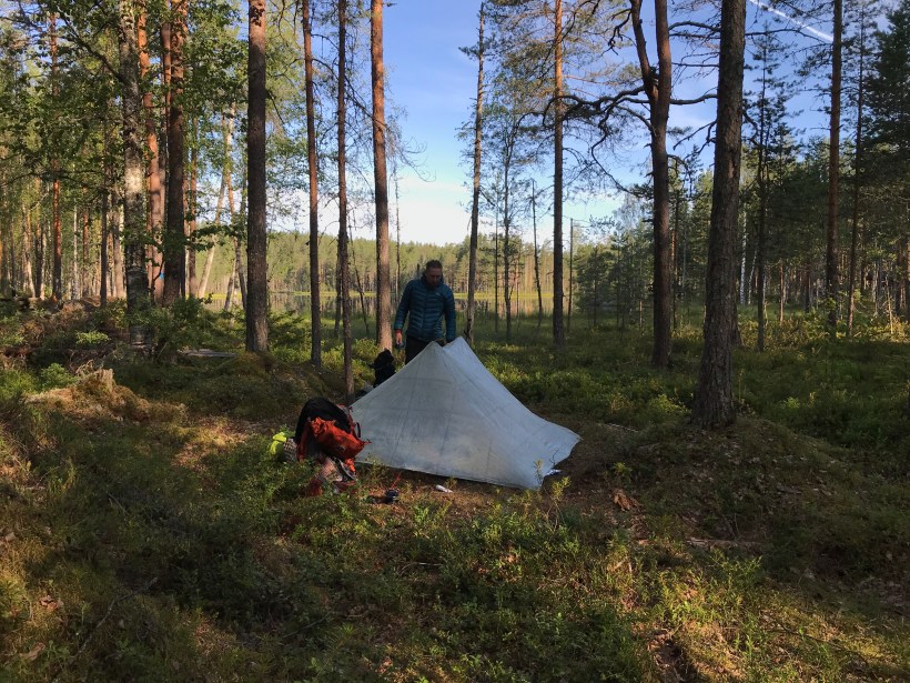 Kuva: Kaisa Vermasheinä, Juuret maassa